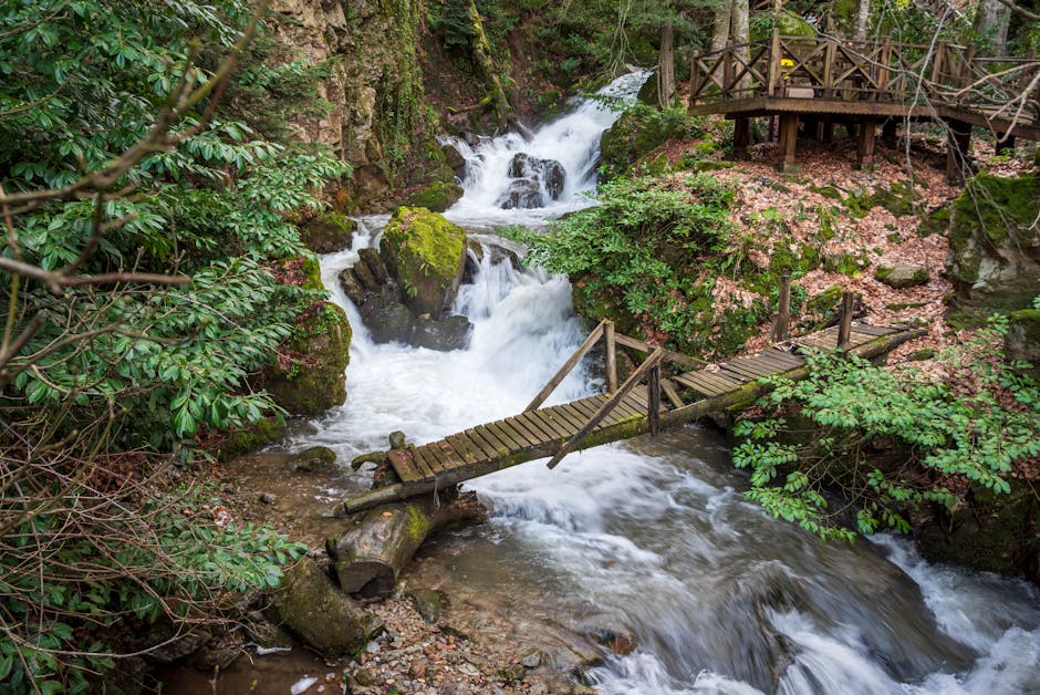 Petite cascade forestière avec passerelle en bois, sentier près du Lac de Garde