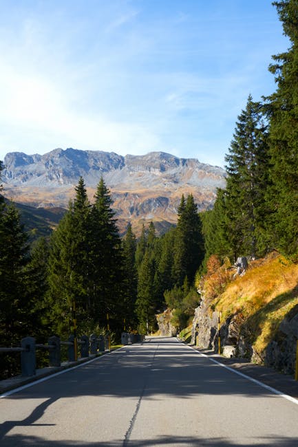 Strada panoramica tra pini con montagne rocciose sullo sfondo in Sardegna