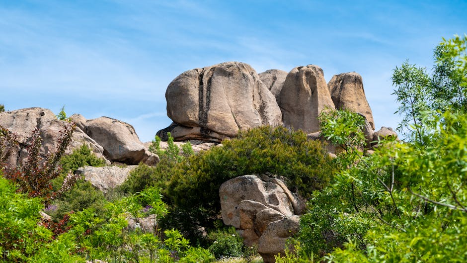 Große Granitfelsen und mediterrane Macchia in Sardiniens Gallura-Landschaft