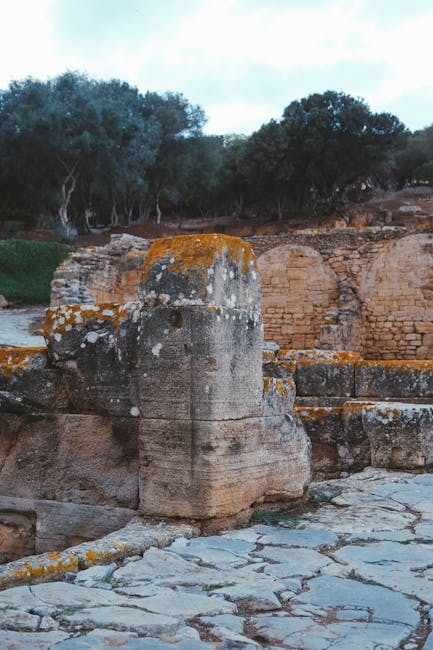 Rovine in pietra con cespugli e ulivi sullo sfondo, Sardegna
