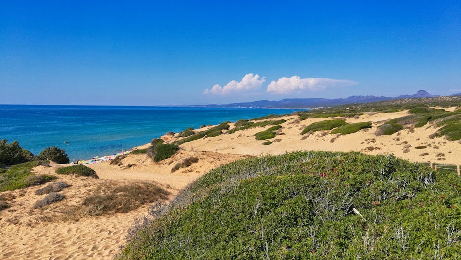 Dune sabbiose e macchia costiera con mare turchese della Sardegna