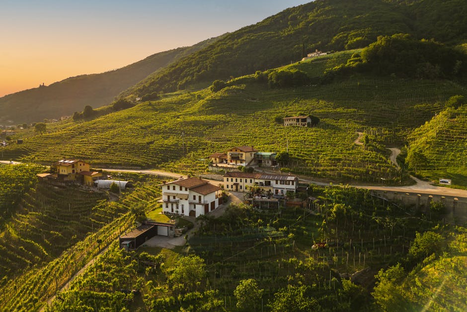 Paysage de vignobles en terrasses autour d'une ferme en Sardaigne