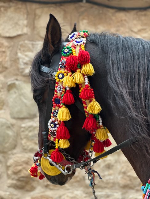 Cavallo addobbato per la Cavalcata di Sassari