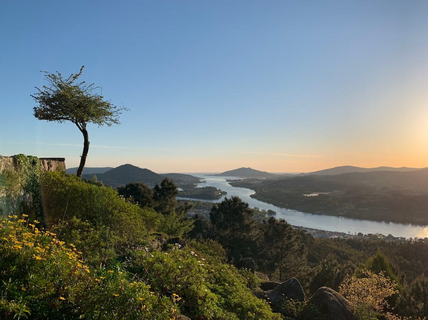 Alleinstehender Baum auf Felsen mit Flussmündung und Sonnenuntergang in Sardinien