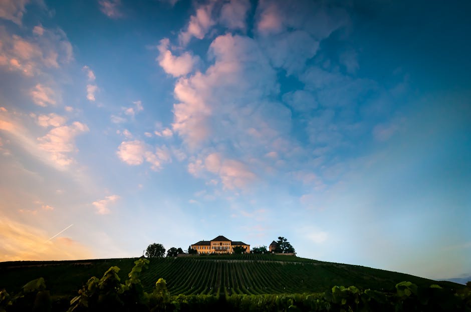 Domaine viticole sur colline en Sardaigne sous ciel pastel au crépuscule