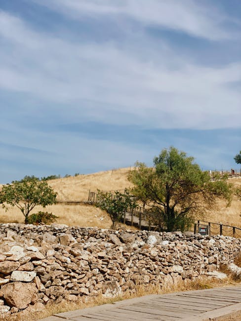 Paesaggio rurale con muretti a secco e passerella in Sardegna