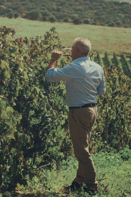Homme dégustant du vin parmi les rangs de vigne en Sardaigne