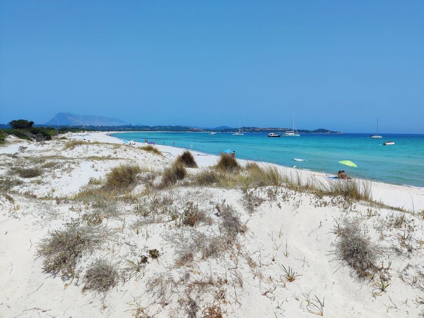 Cala Sinzias long golden sandy beach backed by Mediterranean shrubs