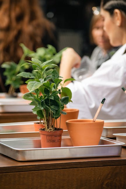Potting workshop