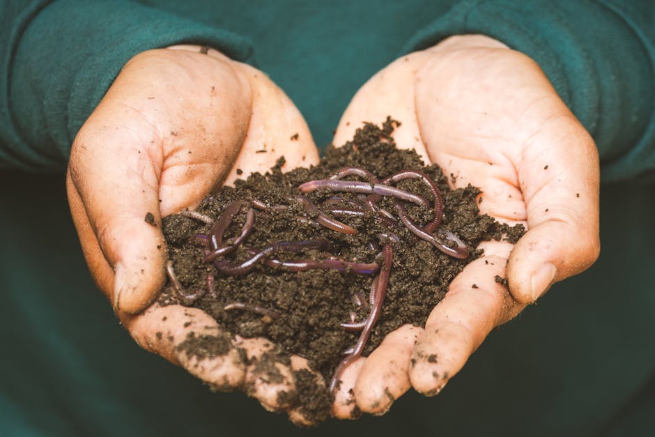 Composting demonstration