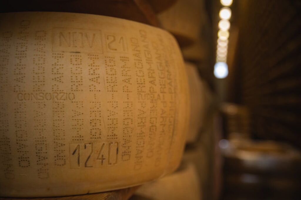 Close-up of stamped Parmigiano-Reggiano wheel aging in Parma cellar