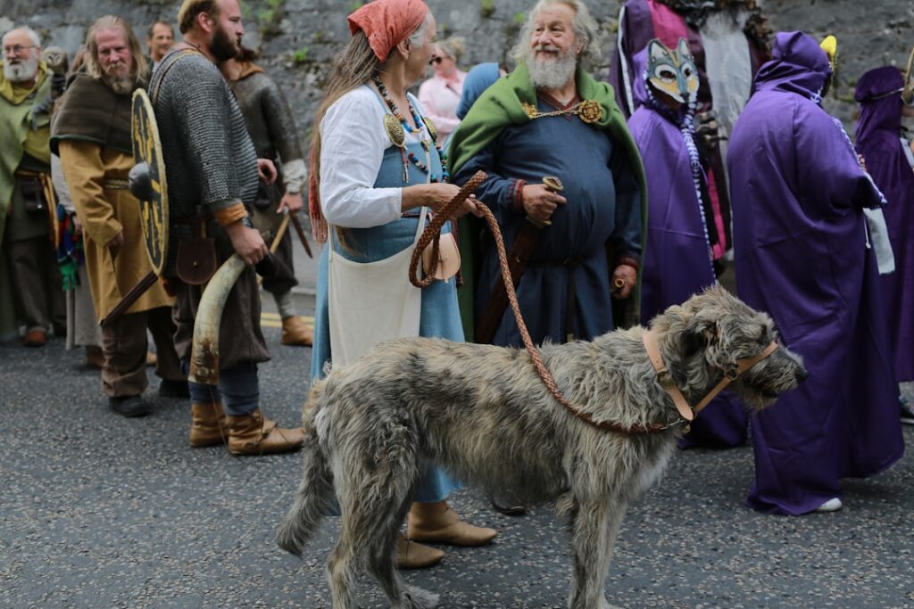 Costumed medieval reenactors and a large dog parading at Parma festival