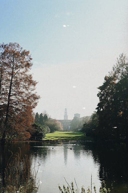 Étang du parc urbain avec passerelle et silhouette d'un clocher lointain