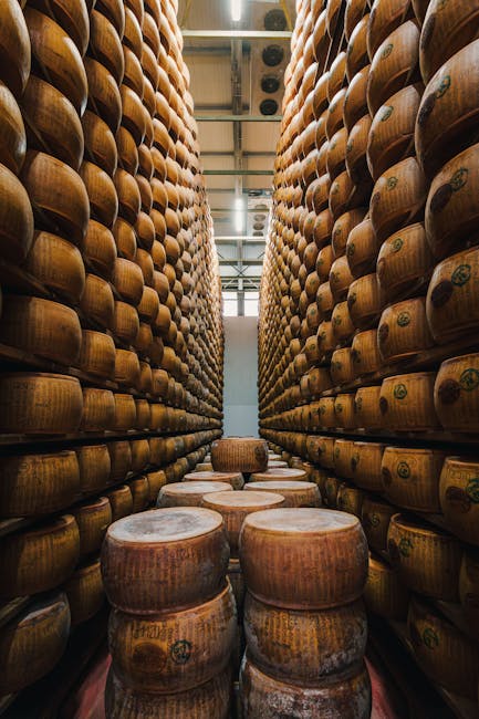 Tall racks of Parmigiano-Reggiano wheels stacked in a Parma cheese warehouse
