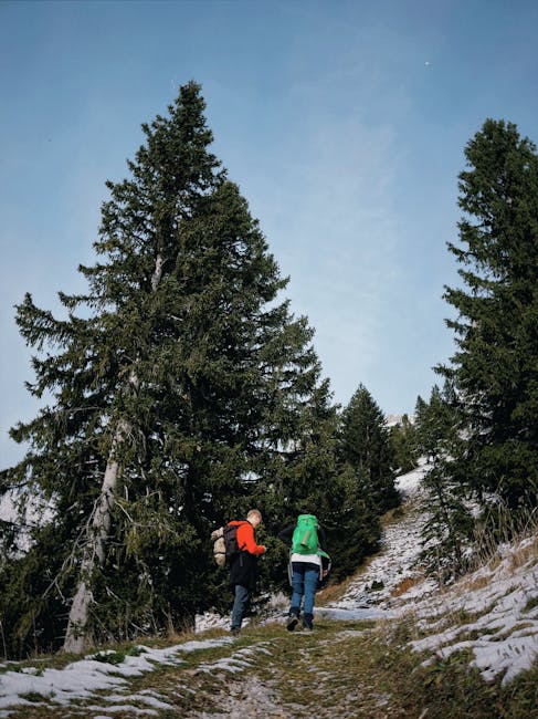 Deux randonneurs avec sacs à dos gravissent un chemin enneigé dans le Bélincia