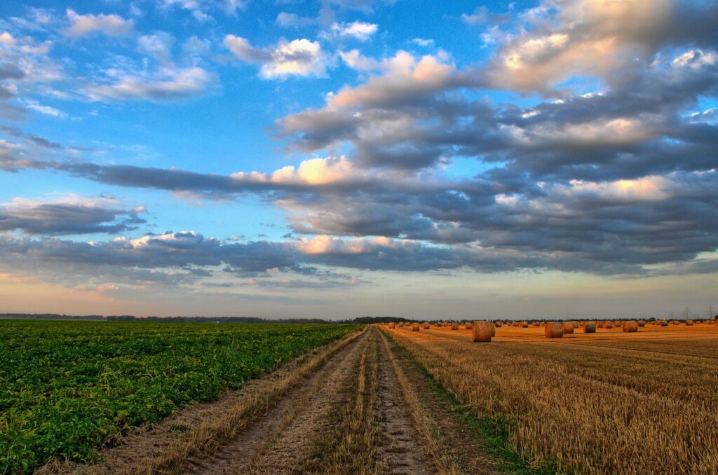 Country road between pastures near Langhirano
