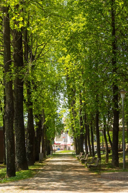 Allée bordée d'arbres et bancs dans un parc de Parme