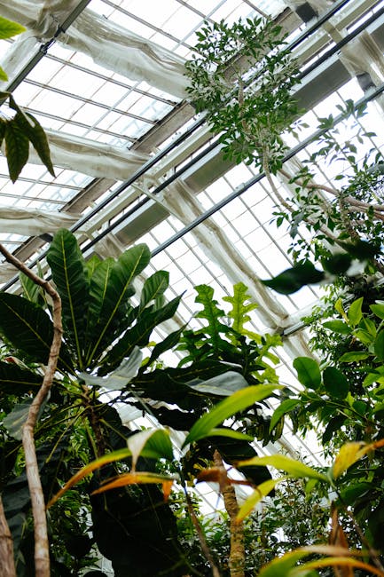 Vaste serre remplie de plantes tropicales au jardin botanique de Parme