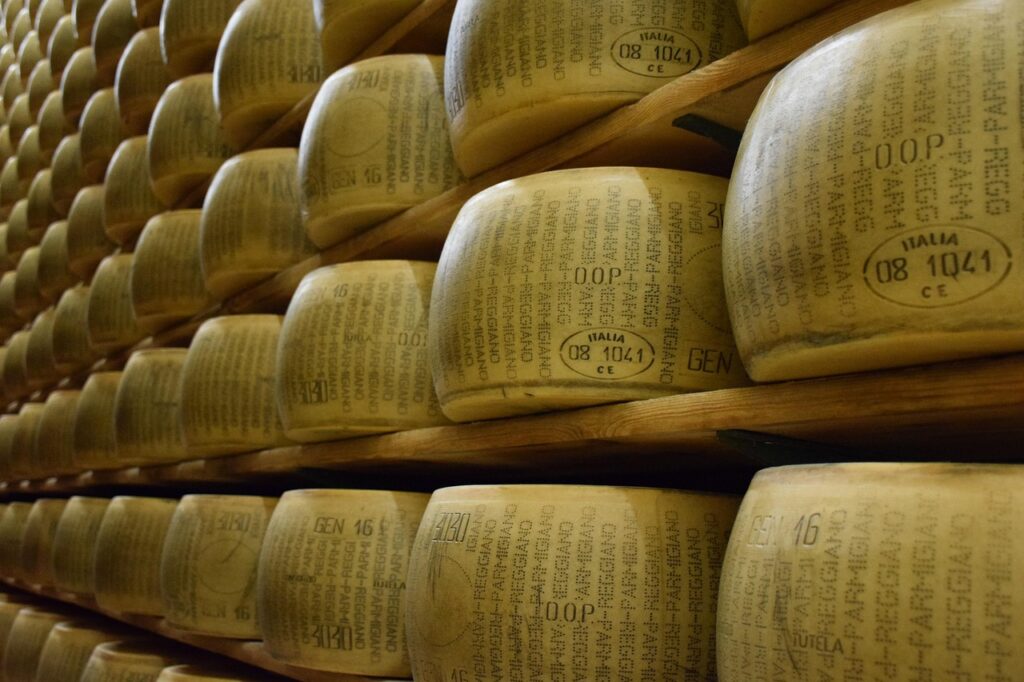 Forme di Parmigiano Reggiano in stagionatura in una cantina