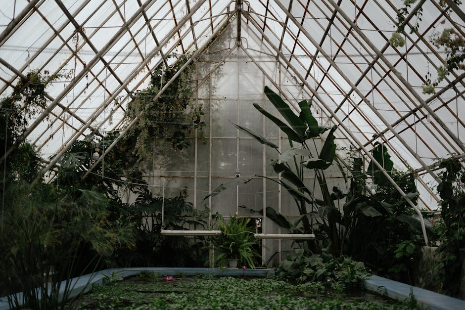 Serre vitrée remplie de plantes tropicales et bassin de nénuphars