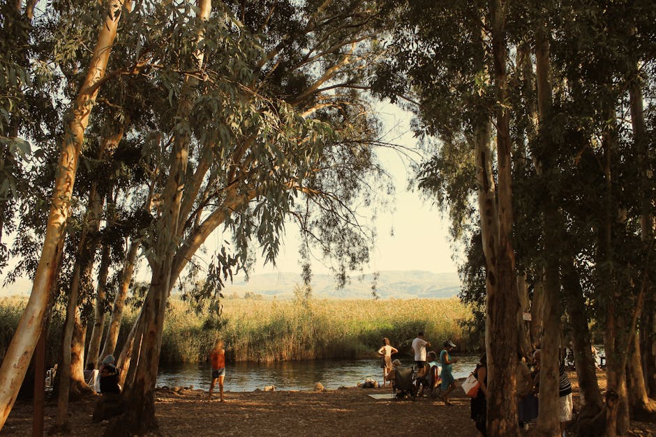 Bord du fleuve au Parco del Taro, eucalyptus et promeneurs au rivage