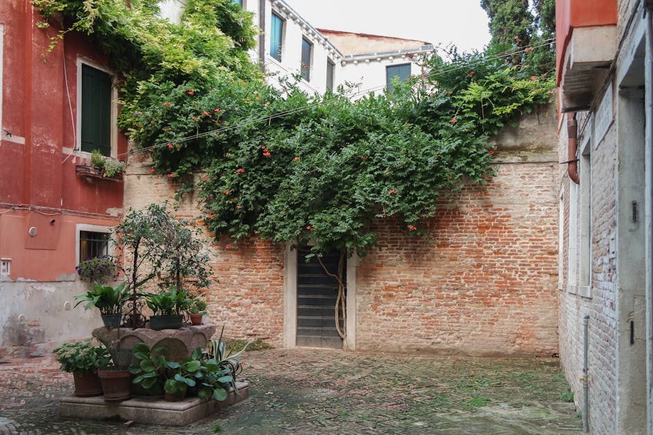 Cour intérieure pavée avec murs de briques et vigne grimpante