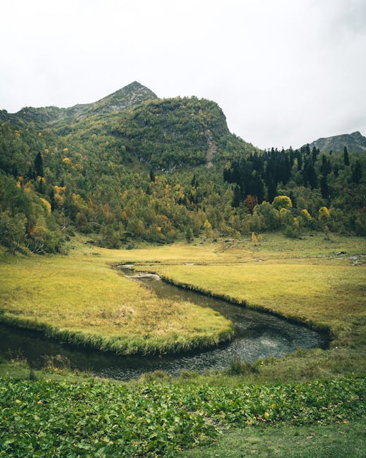 Prairie humide et méandre d'un ruisseau, collines boisées du Parco del Taro