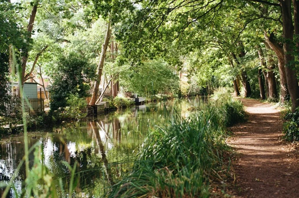 Allée ombragée le long d'un canal aux reflets verts