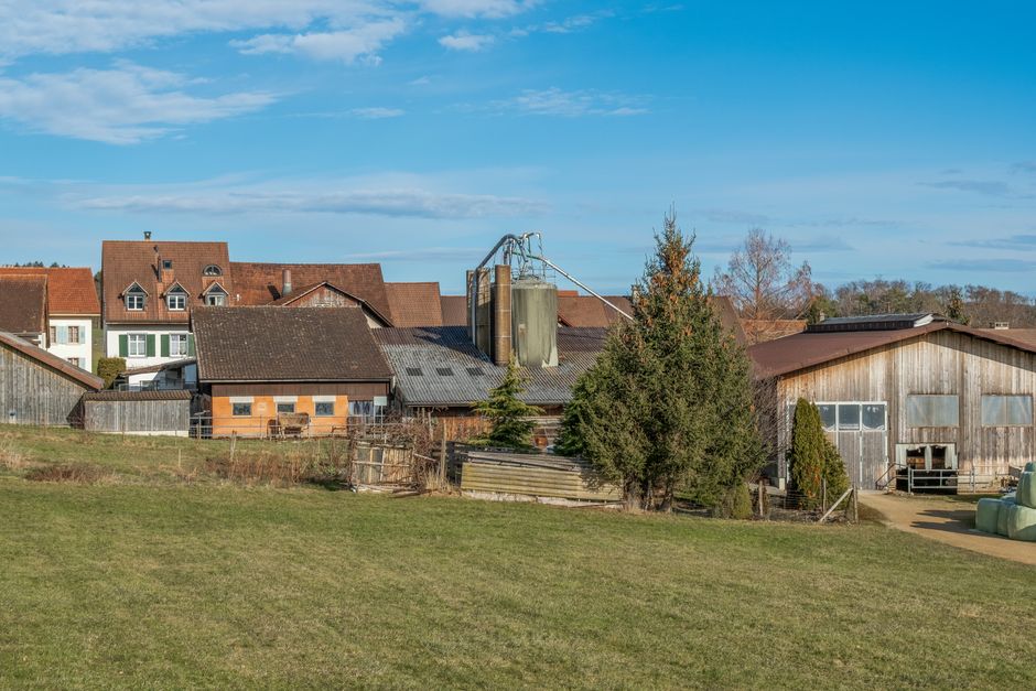 Countryside farmstead and producers near Parma