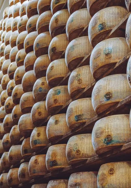 Alignement de meules de Parmigiano-Reggiano sur étagères dans une fromagerie à Parme