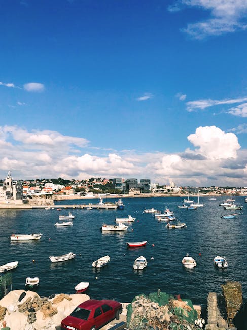 Cascais marina boats midday