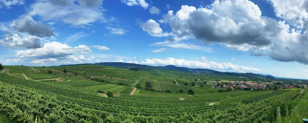 Panorama de vignobles vallonnés du Collio sous ciel vaste et nuageux