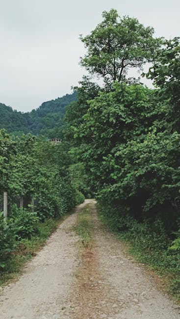 Gravel road through the countryside