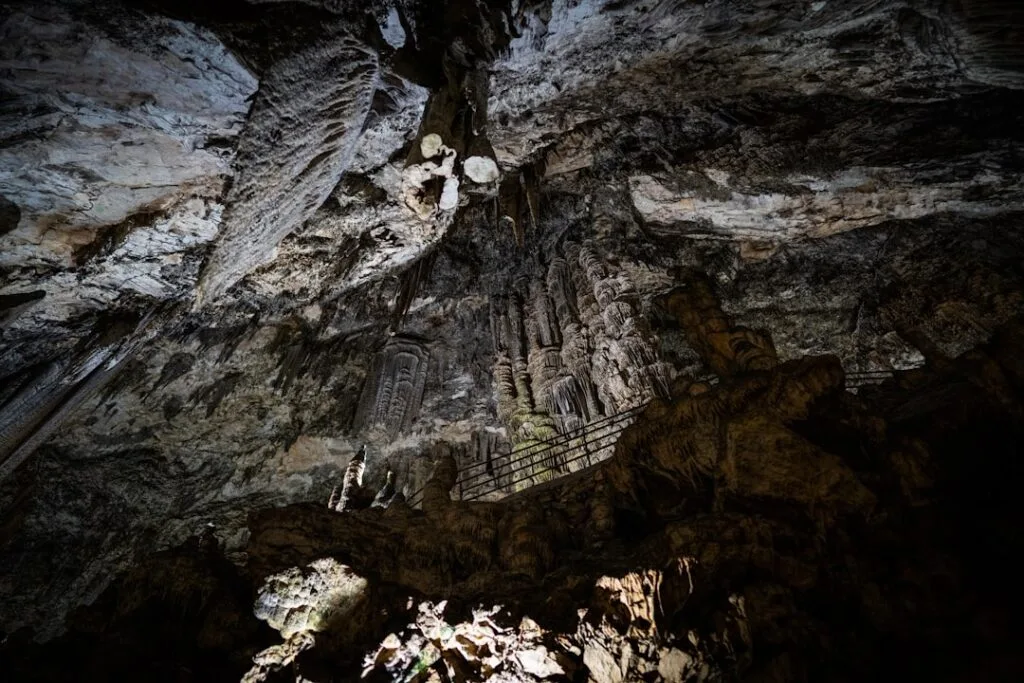 Intérieur monumental de la Grotta Gigante avec passerelle et concrétions massives