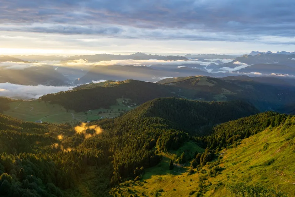 Sunlit green hills and forested valleys above Trieste with distant mountains