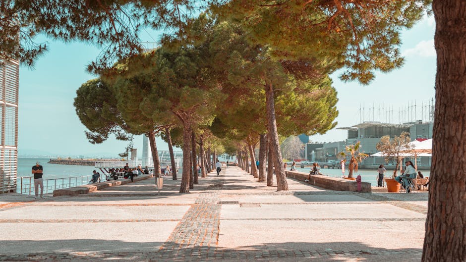 Barcola seafront promenade with sunbeds and people