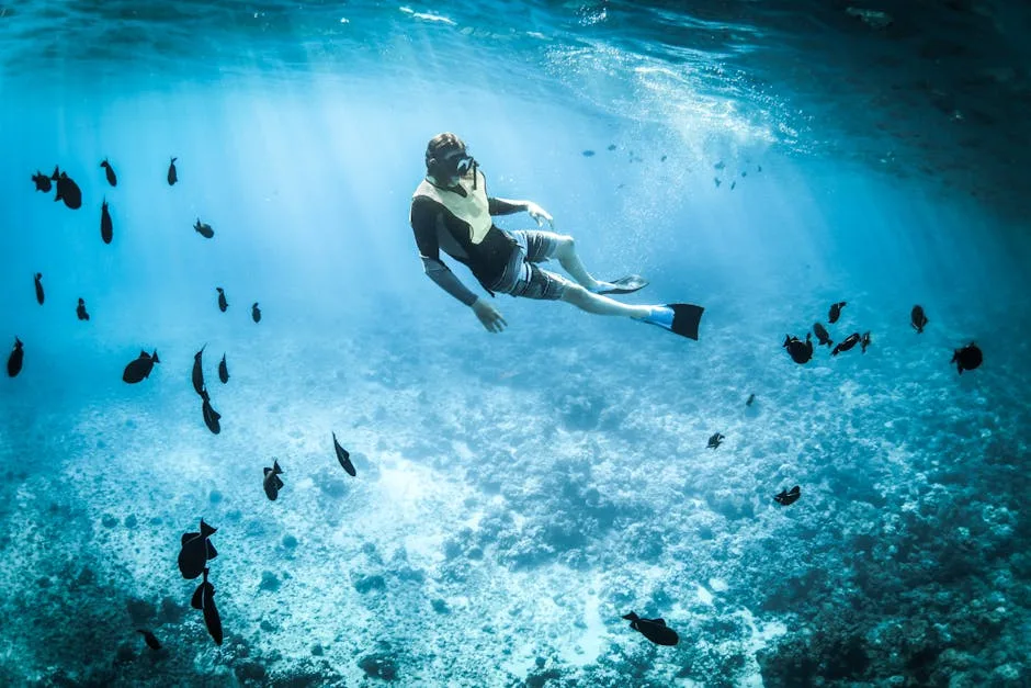 Snorkeler glides above seabed among black fish in Trieste waters