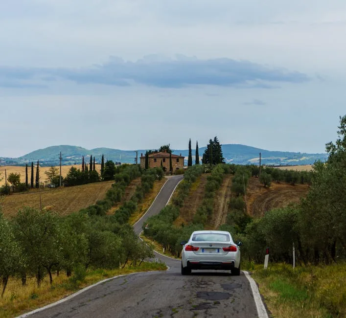 Une voiture descend une route sinueuse bordée d'oliviers et collines.