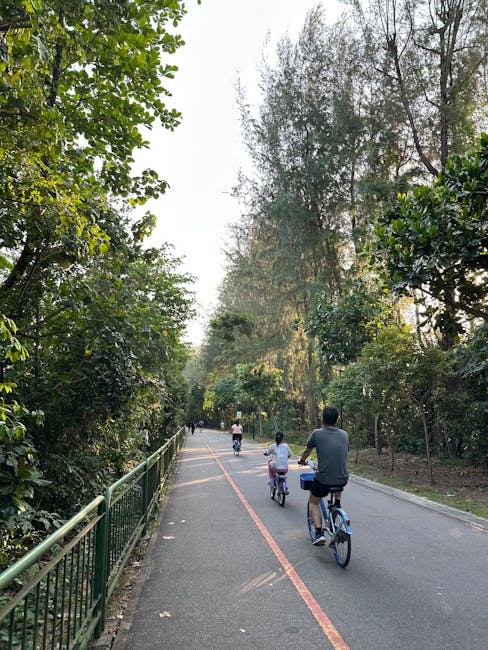 Piste cyclable bordée d'arbres, familles à vélo près de Miramare.