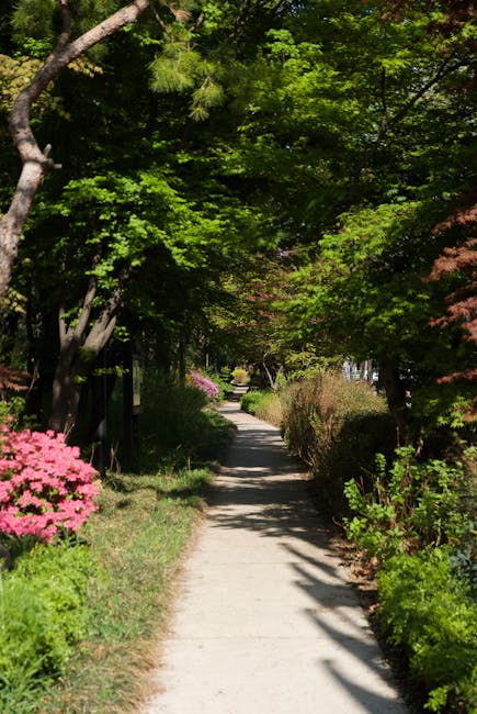 Allée ombragée dans les jardins de Miramare à Trieste, azalées roses