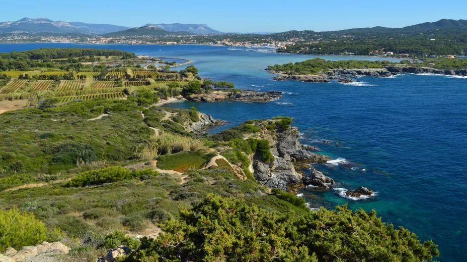 Falaises rocheuses et vignobles côtiers surplombant la mer près de Trieste
