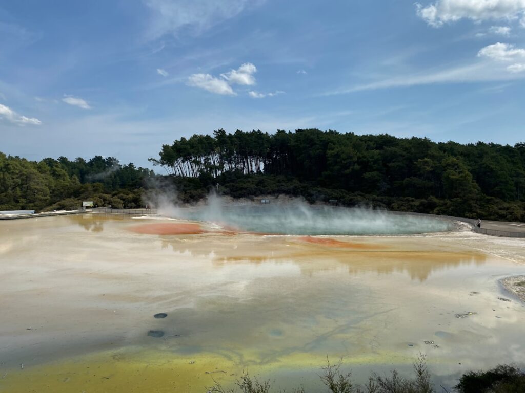 Multicolored steaming geothermal pool surrounded by trees in the Aeolian Islands
