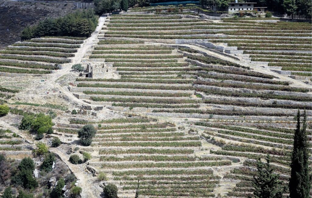 Steinterrassen mit Weinbergen an Hängen der Äolischen Inseln