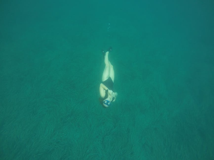 Plongeuse en apnée flottant au-dessus des posidonies, eau verte Îles Éoliennes