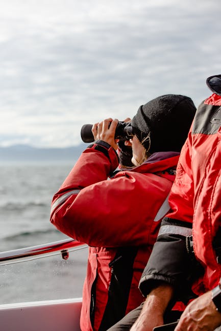 Wildlife watchers on a boat using binoculars near a volcanic island