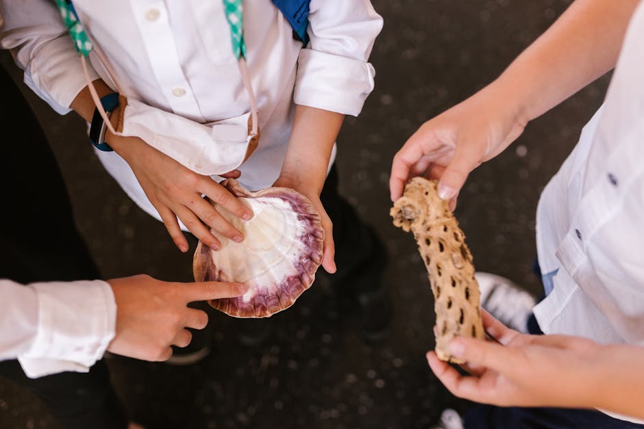 Children in an educational marine biology workshop at Lipari