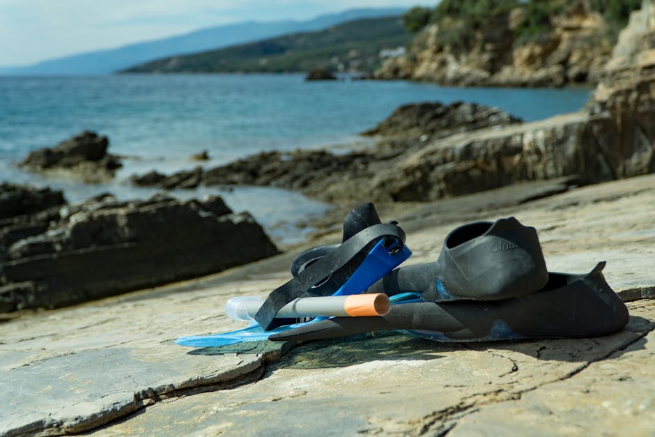 Snorkel gear: mask, snorkel and fins for rent