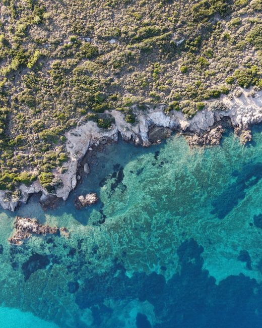 Interaktive Karte mit Layern zur marinen Biodiversität im Mittelmeerkontext