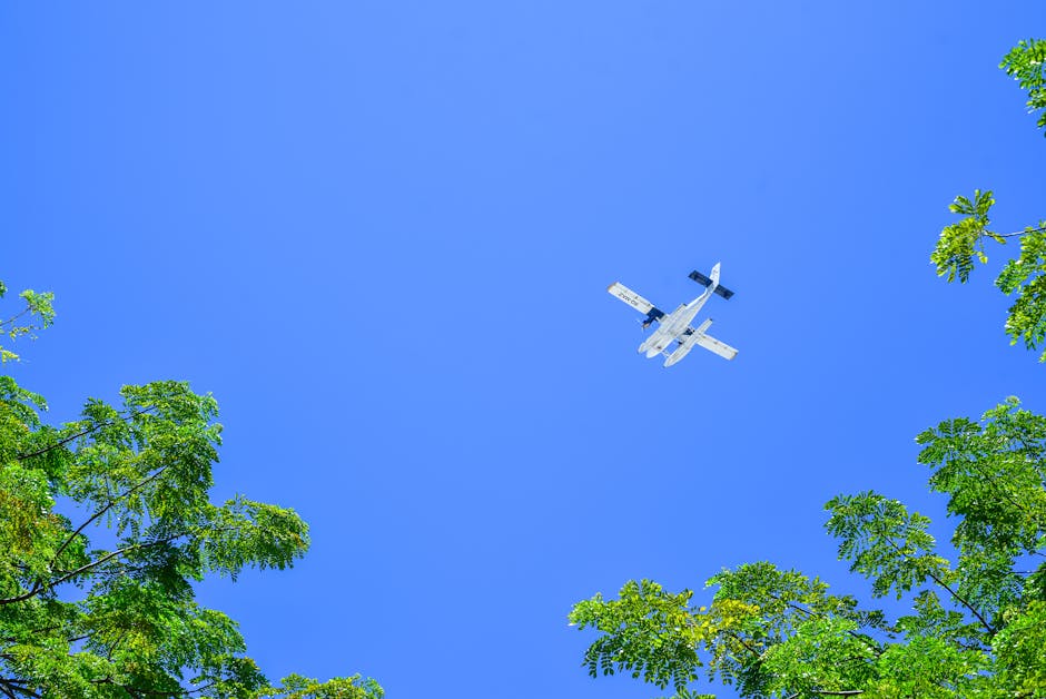 Idrovolante sorvola il cielo azzurro tra rami alle Isole Eolie