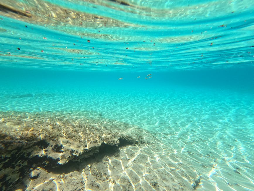 Fond marin sablonneux et eaux turquoise transparentes, idéal pour apnée aux Îles Éoliennes